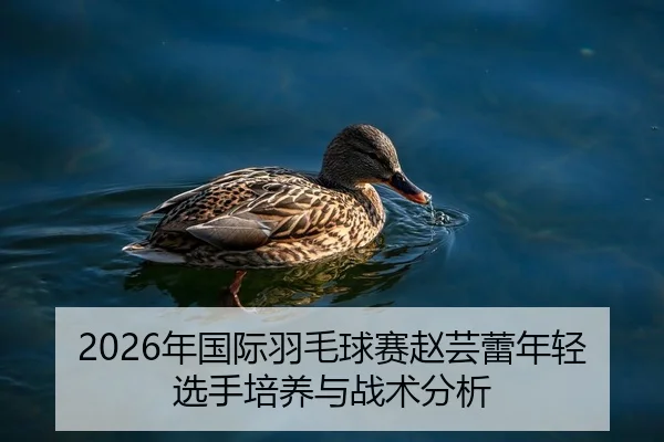 2026年国际羽毛球赛赵芸蕾年轻选手培养与战术分析