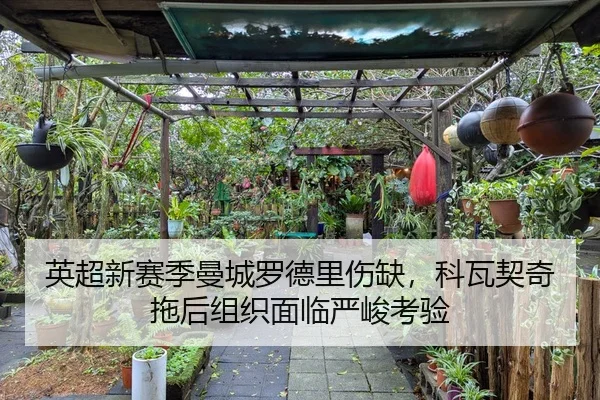 英超新赛季曼城罗德里伤缺，科瓦契奇拖后组织面临严峻考验