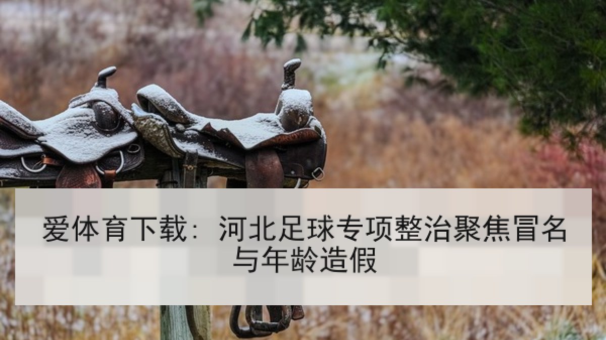 爱体育下载: 河北足球专项整治聚焦冒名与年龄造假 爱体育下载: 河北足球专项整治聚焦冒名与年龄造假