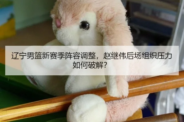 辽宁男篮新赛季阵容调整，赵继伟后场组织压力如何破解？