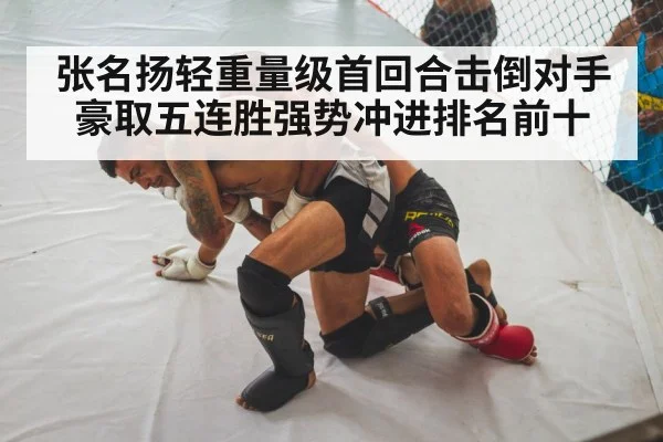 MMA fighter knockout