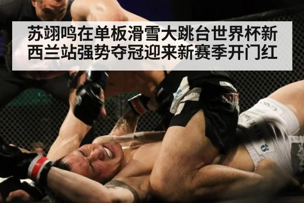 苏翊鸣在单板滑雪大跳台世界杯新西兰站强势夺冠迎来新赛季开门红